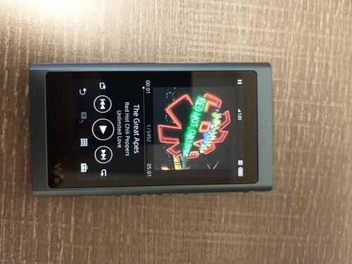 ほぼ未使用】SONY WALKMAN NW-A55 ASeries 16GB