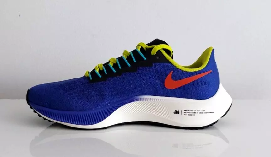 nike pegasus 5.5