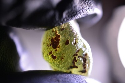 2,15Gram Rare Moldavite Crystal Jakule Czech Crazy Alien Stone Collector Inlay