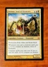 1x Animar, Soul of Elements (2011) Commander - Mythic Rare MTG Card