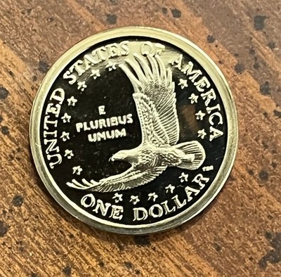 2003S Sacagwea/Native American Dollar Proof - A beautiful coin | eBay