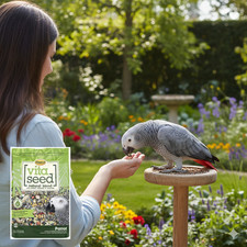 Higgins Vita Seed Parrot Food 5 lbs. Premium Seed Blend w/ Probiotics  DHA