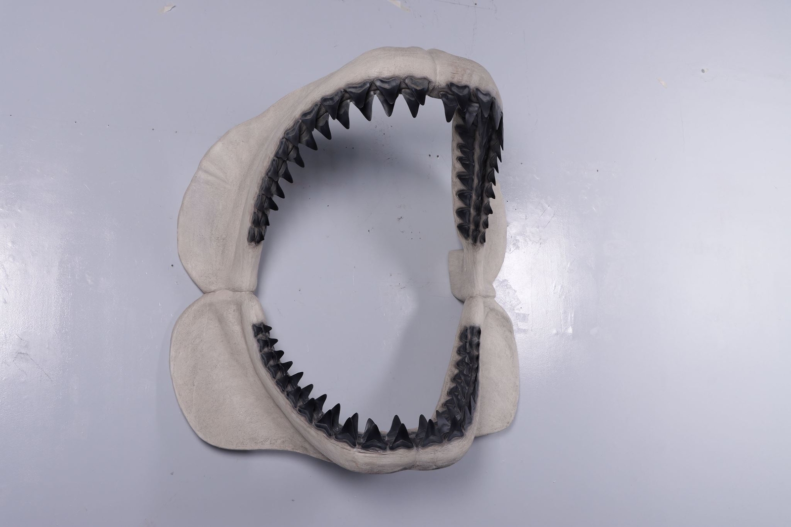 Hanging Megalodon Shark Jaw Resin Wall Decor Life Size Statue Marine Ocean Sea