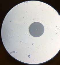 Noyes Fiber Systems OFS-300-400C Optical Fiber Inspection System