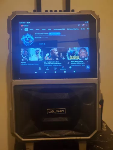 A dolphin karaoke machine