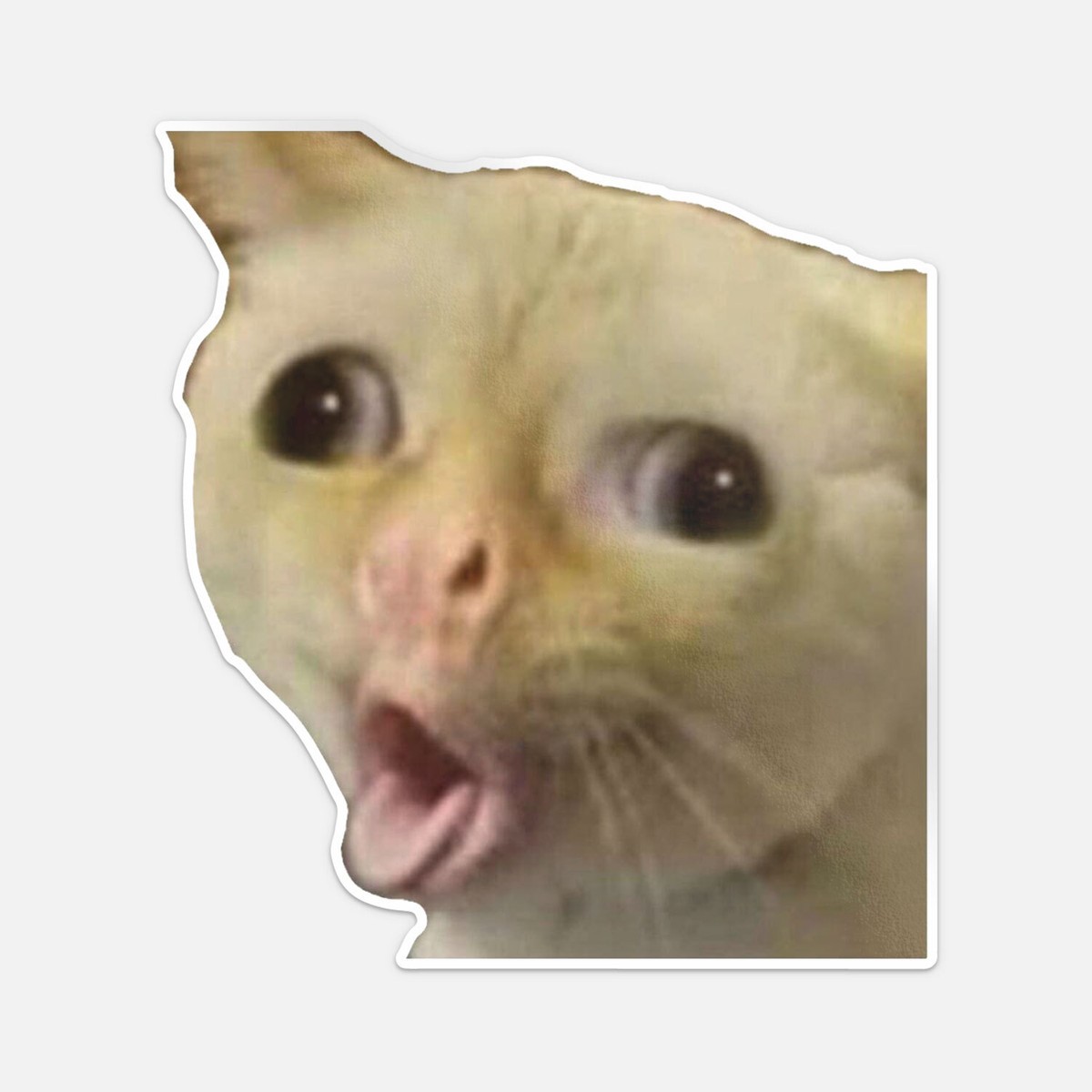 Coughing Cat Meme Vinyl Car Bumper Decal