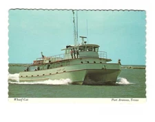 Wharf cat Port Aransas TX vintage postcard unposted