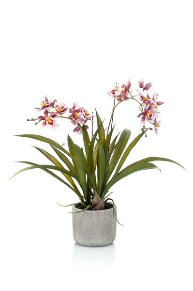 Artplants Kunstorchidee Oncidium Colunga Im Keramiktopf, Rosa-Violett, 45Cm-image