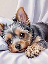 5D Diamond Painting Kits Dog DIY Diamond Art Kits for Adults Animal, Full Ro...