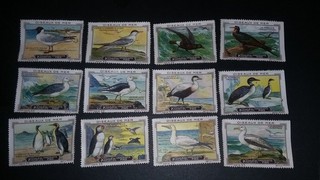 Vögel am Meer Möwen Pinguine Enten Ornithologie Kohler Serie 20 Sammelbilder