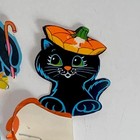 Foto 7 di 8