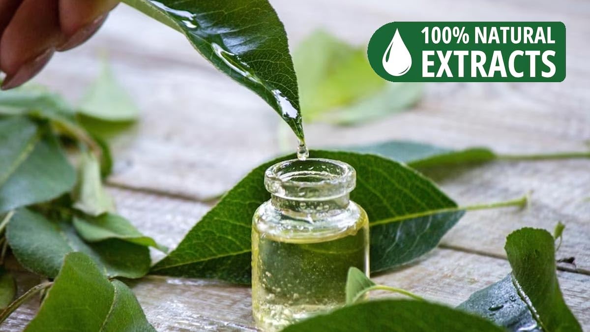 Bless-Green-Tea-Incense-Sticks 100%-Natural-Handmade-Hand-Dipped-Incense-Stic...