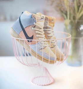 toddler nike dunks high