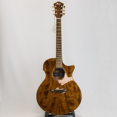 Ibanez AE295LTD-NT Western Guitar