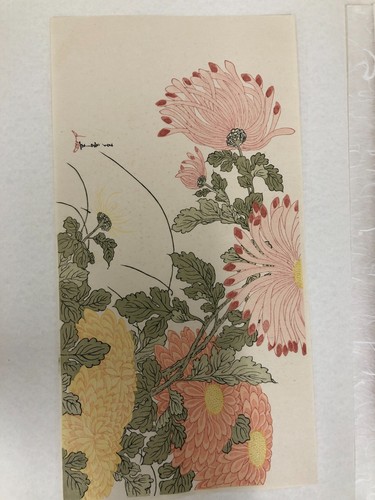 Xilografia Ristampa x 36:Fiori e uccellini capolavori collezione - Foto 19 di 24