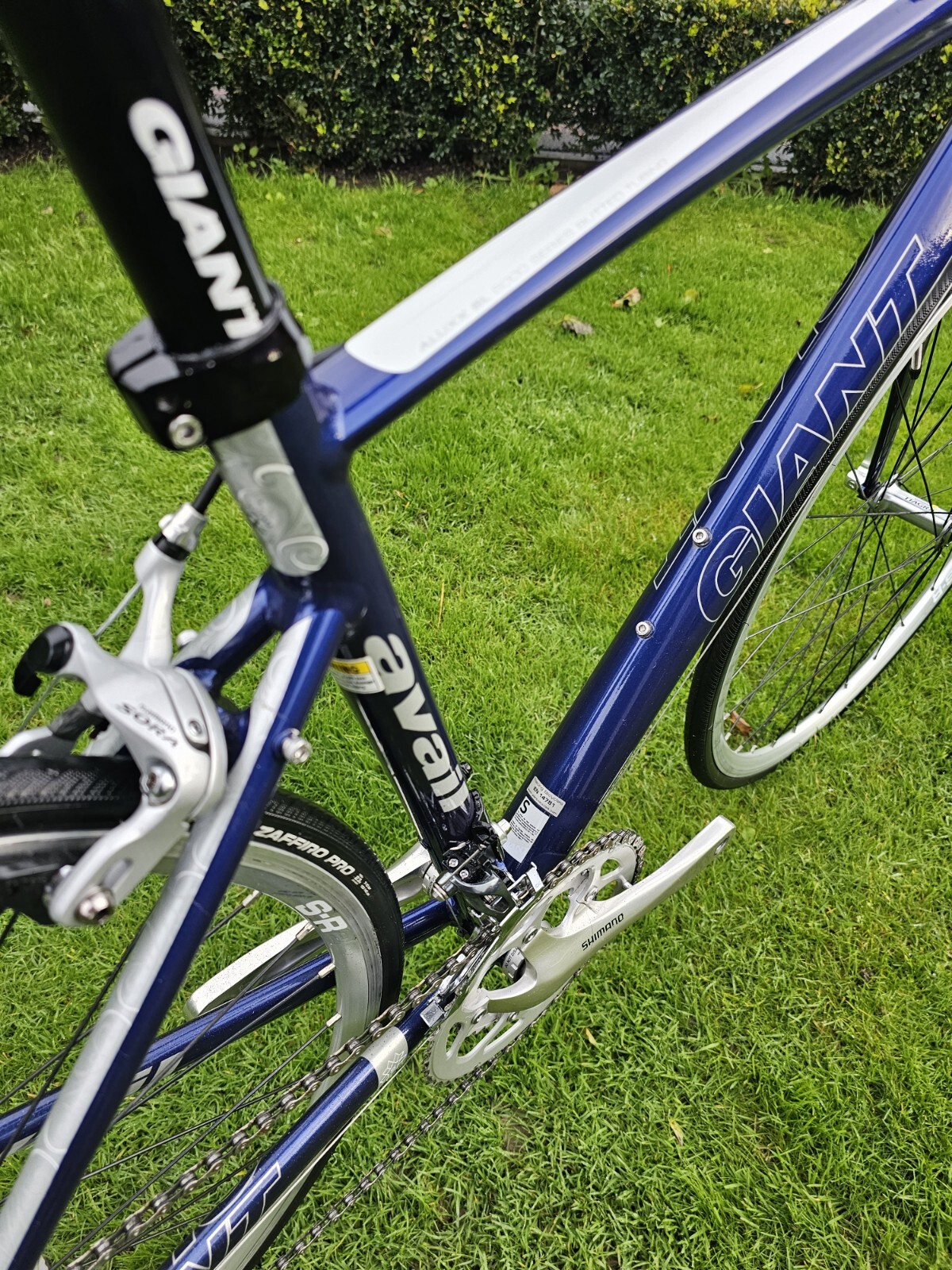 6+ Giant Avail Road Bike