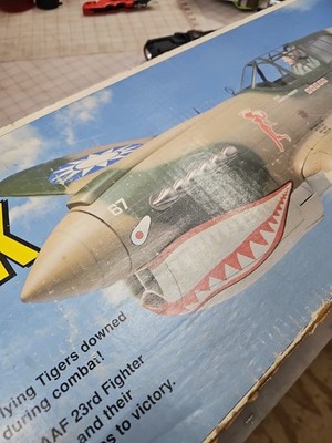Top Flite Gold Edition P-40E Warhawk RC Airplane Kit 64'' Wingspan 