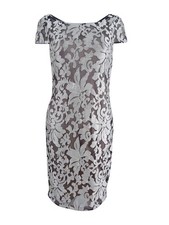Calvin Klein Women's Embroidered Mesh Sheath Dress (8, Silver/Black)