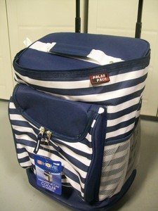 white insulated picnic bag