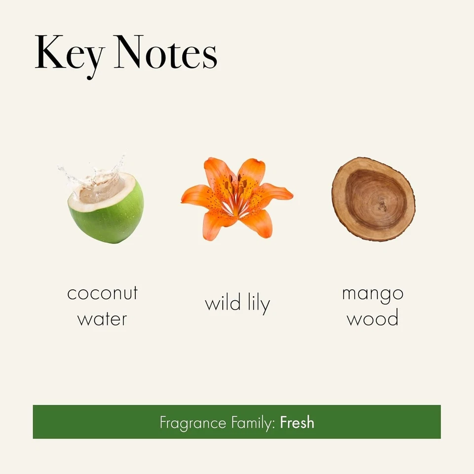 Vela clásica, flor de la selva - 6,5 oz - tiempo de combustión de 50 horas - reutilizable, azul a mano... Foto 4 de 4