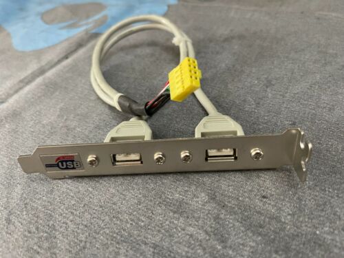  2 Port USB 2.0  to 9 Pin Connector 
