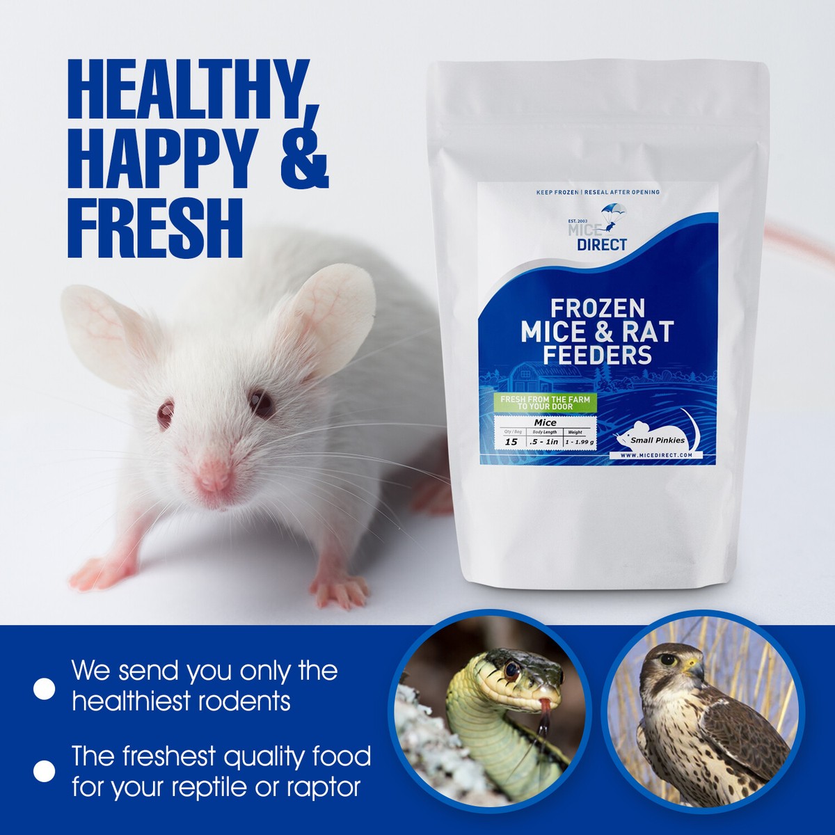 Frozen Feeder Mice: 10 Small Adults -FREE S&H -MiceDirect
