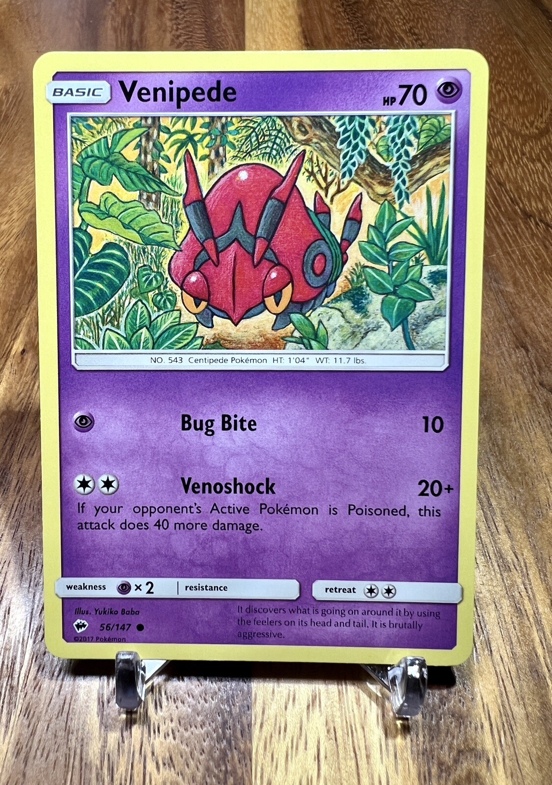 Venipede 56/147 Burning Shadows Pokemon Card NM FREE SHIP