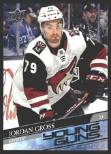 Jordan Gross #466 2020-21 Upper Deck Arizona Coyotes YOUNG GUNS RC