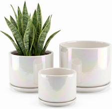 Macetas para plantas, macetas de 4+5+6 pulgadas para plantas de interior, maceta de cerámica con drenaje