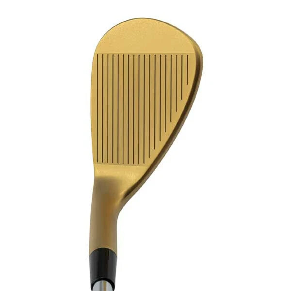 KASCO DOLPHIN DW-123 Gold Wedge 58deg Dynamic Gold 95 S200 Stiff