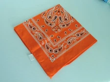 Paisley  Bandana Made in US