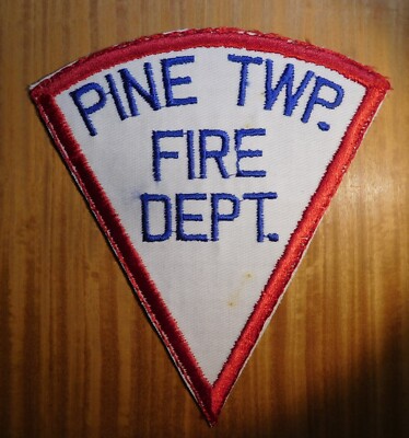 GEMSCO NOS Collectible Vintage Patch FIRE PINE IN - Original 1980 MINT