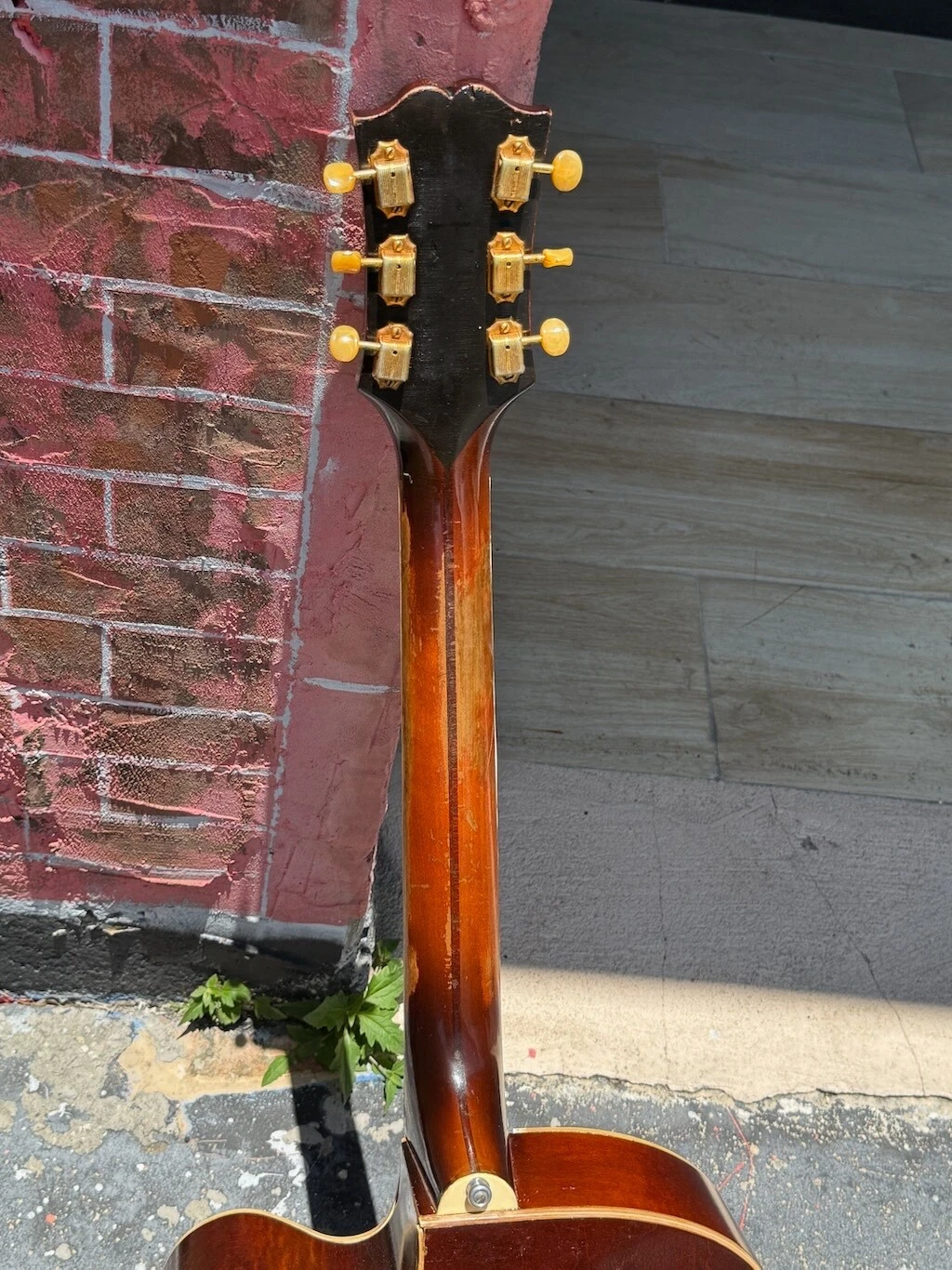 Picture 8 of 14