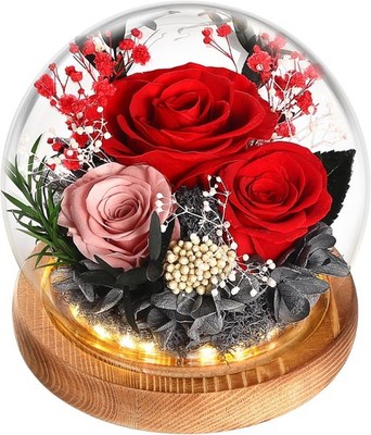 Ewige Rose im Glas Lichter Geschenk für Frauen Mama
