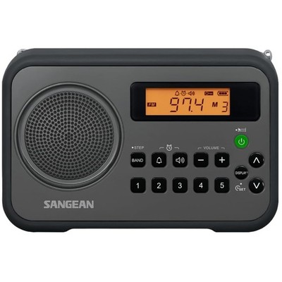 Portable Digital Radio Black/ Grey