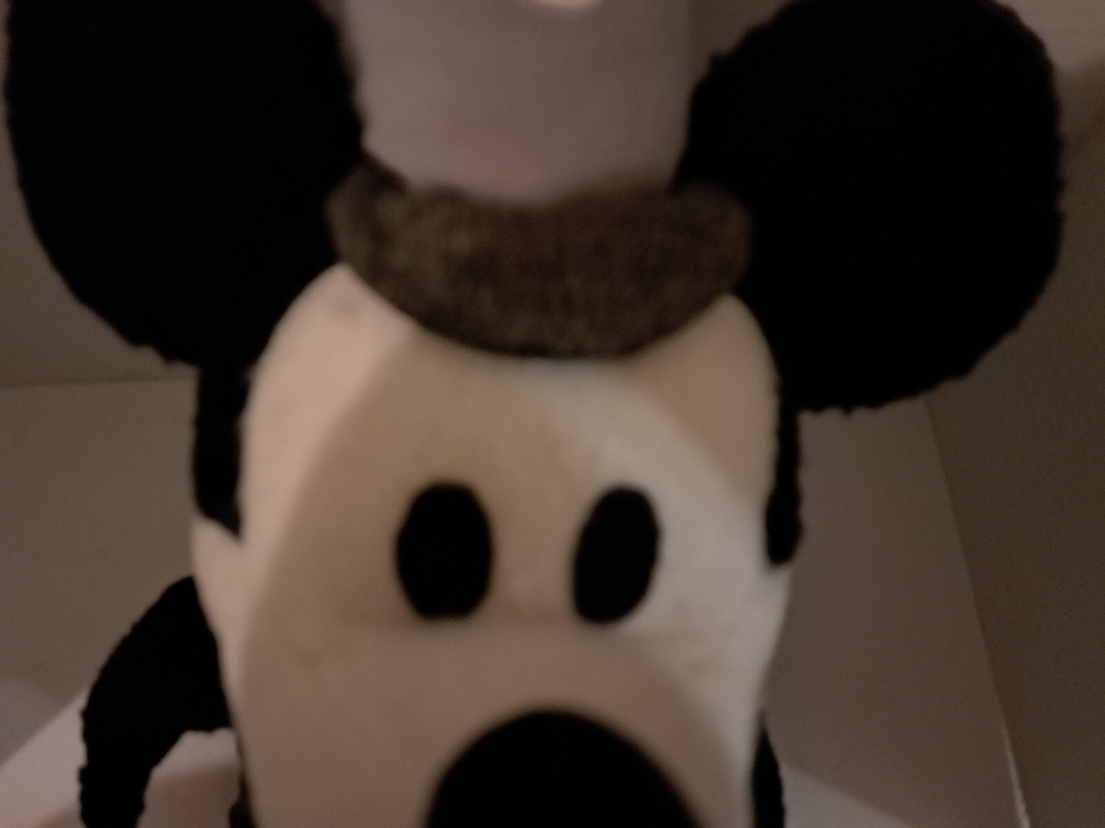 Picture 10 of 15