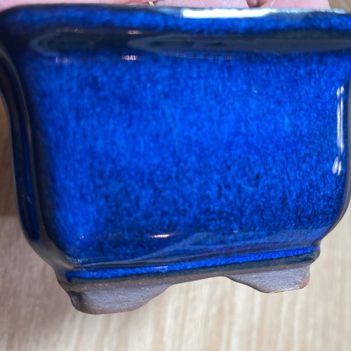 Bonsai tree flower planter cobalt blue rectangle Panda Garden pottery Flaw - Picture 10 of 11