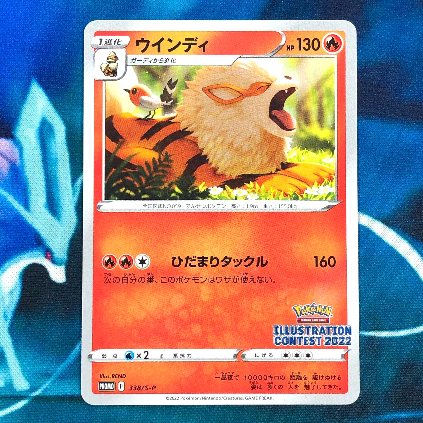Arcanine - 338/S-P - Illustration Contest Promo Rare Japanese Pokemon Card - NM