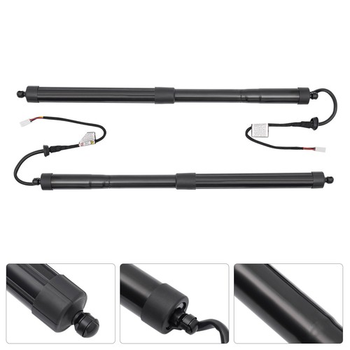 Pack of 2 6892042020 for Toyota RAV4 2019-2022 Rear Tailgate Hatch Lift Support