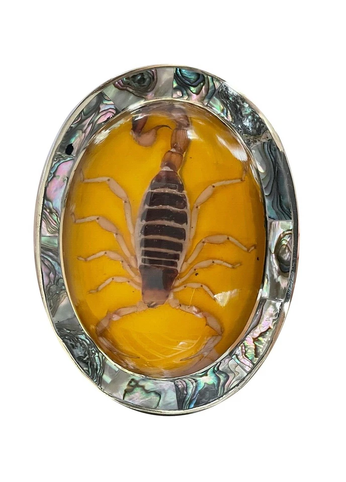 Hecho México Escorpión Real Vintage Western Hebilla Cinturón RODEO HOMBRES METAL AMARILLO - Imagen 2 de 4