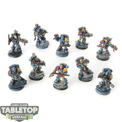 Space Wolves - 10x Space Marines - bemalt