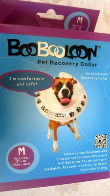 the boobooloon