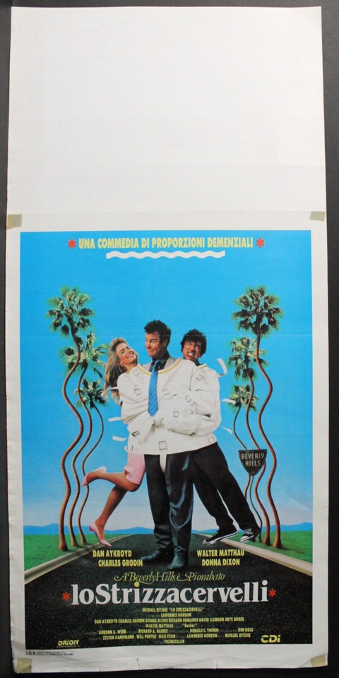 Locandina di Lo strizzacervelli (1988)