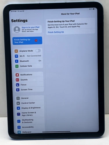 Apple ipad Model A2757 64gb Blue (3059)