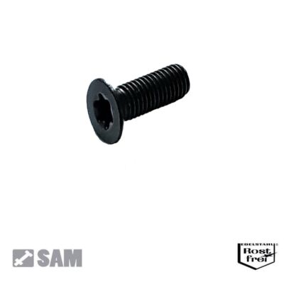 Senkkopfschrauben DIN 965 TORX Edelstahl A2 SCHWARZ M1,6 M2 M2,5 M3 M4 M5