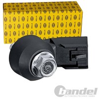 Hella Klopfsensor Passend FüR Chevrolet Camaro Saab 9-7X | 6PG 013 114-511