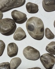 Lot of Tiny polished Petoskey/Charlevoix stones and fossils, great for crafts!