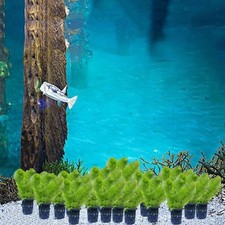 20 Pieces  Planting Mesh Net Pots  Cups Garden Slotted Mesh Net 0.37 per sponge