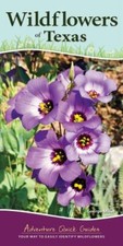 Wildflowers of Texas: Your Way to Easily Identify Wildflowers (Adventure Quick 