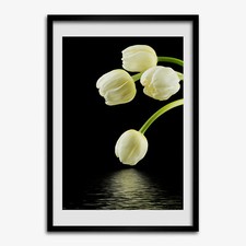 Tulup Foto auf MDF Wanddekoration Kunst Wohnzimmer 70x100cm Weiße Tulpen